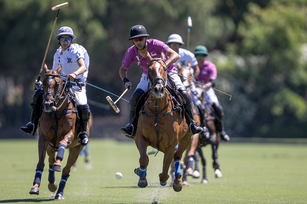 Aap Polo Live