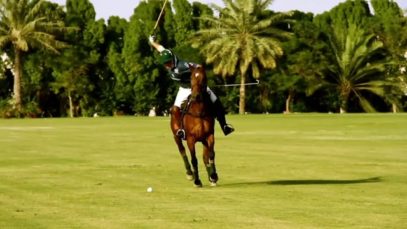 Polo News 15 (English)