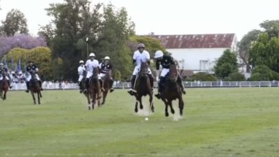 Polo News 23 (English)