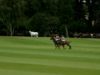 British Open 2023 – Highlights – Bp polo vs talandracas