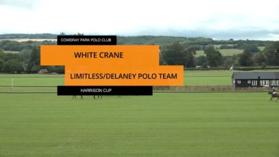 Harrison Cup 2023 – White Crane vs Limitless/Delaney Polo Team