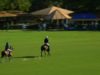 Copa De Oro Alto 2023 – Goles – MB Polo Team vs Park Place