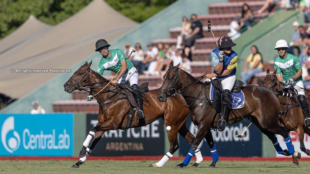 Argentina polo 2024 team shirt