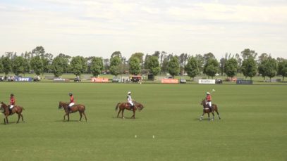 Thai Polo Cup 2023 – Animales vs Amadeus