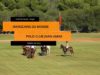 Throne Cup 2023 – Marocains du Monde v Polo Club Jnan Amar