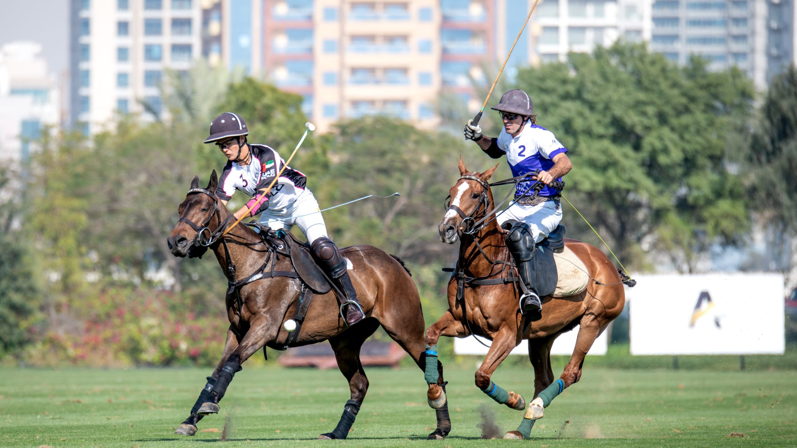 PoloLine.TV Dubai Gold Cup 2024 Aix Mahra Polo vs Uae Polo