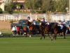 Emirates Polo Championship 2024 – Highlight final