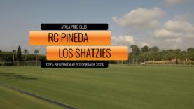 Copa Bienvenida Ke 2024 R.C Pineda vs  Los Schatzies