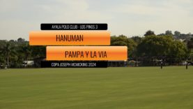Copa Joseph McMicking – Hanuman vs Pampa y La via