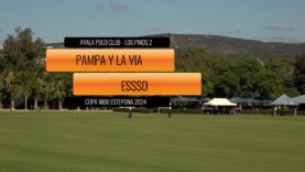 Copa Nido Estepona – Pampa y La Via vs Essso