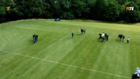 British Open 2024 – La Dolfina Great Oaks vs Desert Palm – Highlight