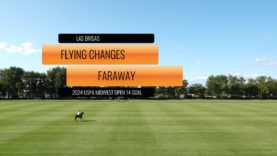 2024 USPA MIDWEST OPEN 14 GOAL – Flying Changes Vs Faraway SIN RELATO