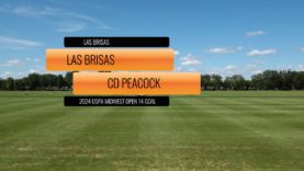 2024 USPA MIDWEST OPEN 14 GOAL – Las Brisas Vs CD Peacock