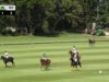 2024 USPA MIDWEST OPEN 14 GOAL SEMIFINAL – Las Brisas v Blockfills