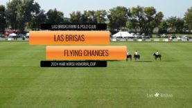 2024 War Horse Memorial Cup – Las Brisas v Flying Changes