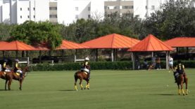 Copa de Oro 2024 Bajo – 1896 Polo vs Polothanda