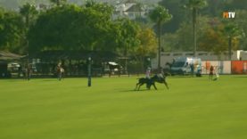 Copa de Oro 2024 – La Dolfina Dos Lunas vs Kazak – Highlight