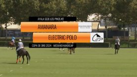 Copa de Oro 2024 Mediano – Amanara vs Electric Polo