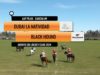 Abierto del Jockey Club 2024 – Dubai La Natividad vs. Black Hound