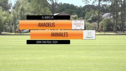 Thai Polo Cup 2024 – Amadeus vs Animales