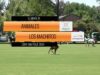 Thai Polo Cup 2024 – Animales vs Los Machitos