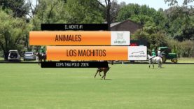 Thai Polo Cup 2024 – Animales vs Los Machitos