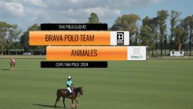 Thai Polo Cup 2024 – Brava Polo Team vs Animales