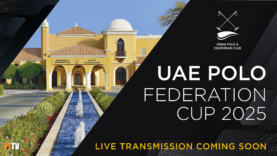 UAE FED CUP