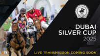 DUBAI SILVER