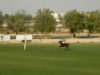 Emirates Polo Championship 2025 – Abu Dhabi vs Ghantoot – Highlights