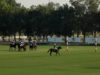 Emirates Polo Championship 2025 – Abu Dhabi vs Lamar Polo – Highlights