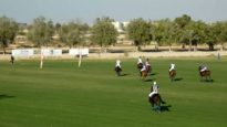 Emirates Polo Championship 2025 – Bin Drai vs El Basha – Highlights