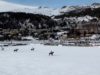 Snow Polo World Cup St. Moritz 2025 – Flexjet vs World Polo League