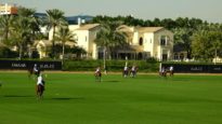 UAE Polo Federation Cup 2025 – Abu Dhabi vs El Basha – Highlights