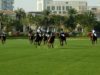 UAE Polo Federation Cup 2025 –  Abu Dhabi Polo vs AM Polo – Highlights