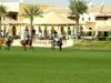 UAE Polo Federation Cup 2025 – Bangash vs Lamar – Highlights