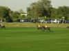 UAE Polo Federation Cup 2025 – Bin Drai vs Noon Polo – Highlights