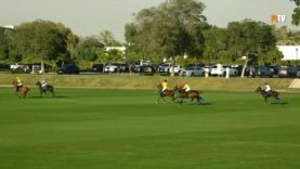 UAE Polo Federation Cup 2025 – Bin Drai vs Noon Polo – Highlights