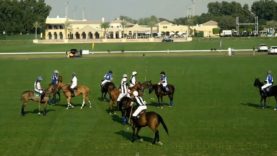 UAE Polo Federation Cup 2025 – Bin Drai vs Bangash Polo