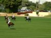 UAE Polo Federation Cup 2025 – Bin Drai vs El Basha– Highlights