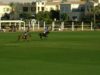 UAE Polo Federation Cup 2025 – El Basha Polo vs AM Polo – Highlights