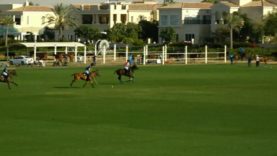 UAE Polo Federation Cup 2025 – El Basha Polo vs AM Polo – Highlights