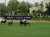 UAE Polo Federation Cup Final 2025 – AM Polo vs Abu Dhabi Polo – Highlights