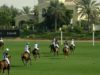 UAE Polo Federation Cup Semifinal 2025 – Abu Dhabi vs Uae Polo – Highlights