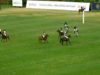 Dubai Gold Cup 2025 – UAE Polo vs Jehangiri Polo – Highlights