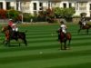 Dubai Gold Cup Semifinal 2025 – Habtoor Polo vs UAE Polo – Highlights