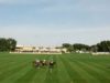 Emaar Polo Cup 2025 – Abu Dhabi vs Equiti Polo