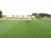 Emaar Polo Cup 2025 – AM Polo vs Equiti Polo