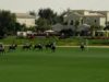 Emaar Polo Cup 2025 – Bin Drai vs El Basha – Highlights