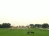 Emaar Polo Cup 2025 – Lamar Polo vs Equiti Polo